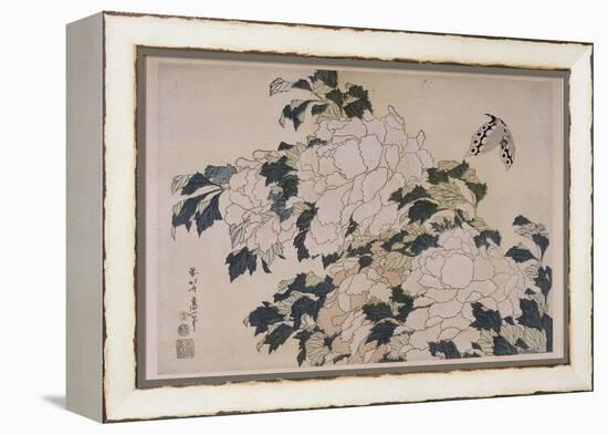 Pivoines et papillons-Katsushika Hokusai-Framed Premier Image Canvas
