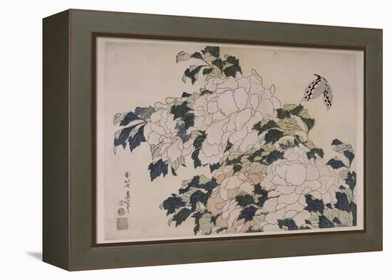 Pivoines et papillons-Katsushika Hokusai-Framed Premier Image Canvas