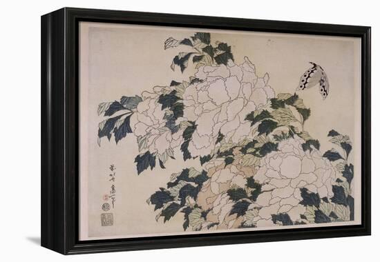 Pivoines et papillons-Katsushika Hokusai-Framed Premier Image Canvas