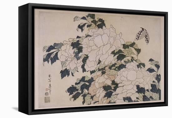 Pivoines et papillons-Katsushika Hokusai-Framed Premier Image Canvas