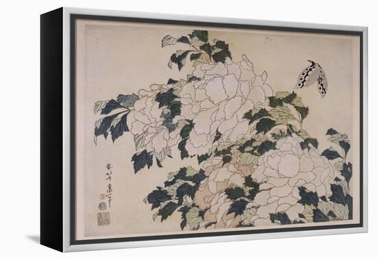 Pivoines et papillons-Katsushika Hokusai-Framed Premier Image Canvas