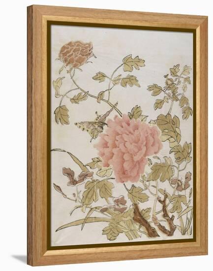 Pivoines et papillons-null-Framed Premier Image Canvas