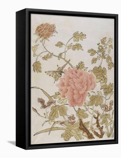 Pivoines et papillons-null-Framed Premier Image Canvas