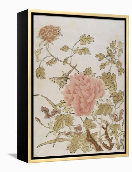 Pivoines et papillons-null-Framed Premier Image Canvas