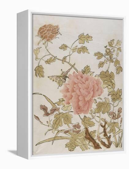 Pivoines et papillons-null-Framed Premier Image Canvas