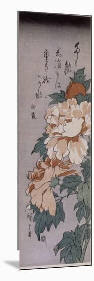 Pivoines-Ando Hiroshige-Mounted Giclee Print