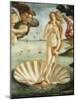Pixelated Venus on the Halfshell-Studio W-Mounted Art Print