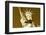 Pixels Print Series-Philippe Hugonnard-Framed Photographic Print