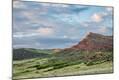 Photographic Print