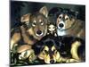 Pixie Dogs - Fairy Dog Picture-Jasmine Becket-Griffith-Mounted Art Print