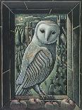 OWL BY MOONLIGHT, 2013-PJ Crook-Giclee Print