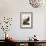 Pl 1 Wild Turkey-John Audubon-Framed Art Print displayed on a wall