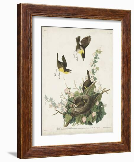 Pl 137 Yellow-breasted Chat-John Audubon-Framed Art Print