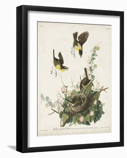 Pl 137 Yellow-breasted Chat-John Audubon-Framed Art Print