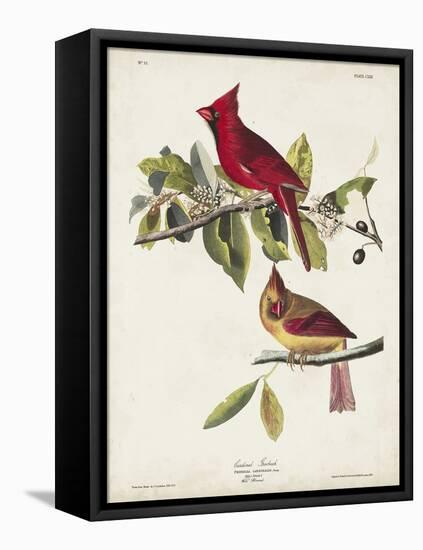 Pl 158 Cardinal Grosbeak-John Audubon-Framed Stretched Canvas