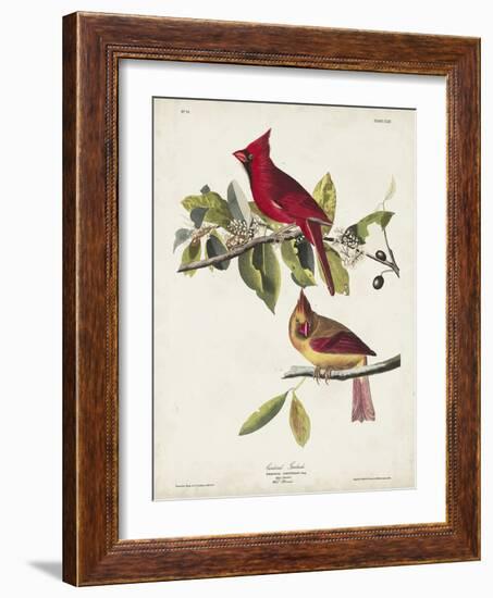 Pl 158 Cardinal Grosbeak-John Audubon-Framed Art Print