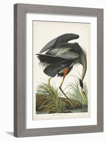Pl 211 Great Blue Heron-John Audubon-Framed Art Print