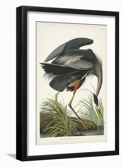 Pl 211 Great Blue Heron-John Audubon-Framed Art Print