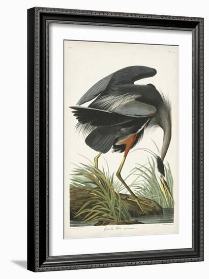 Pl 211 Great Blue Heron-John Audubon-Framed Art Print