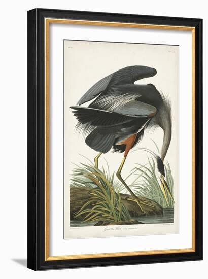 Pl 211 Great Blue Heron-John Audubon-Framed Art Print