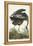 Pl 211 Great Blue Heron-John Audubon-Framed Stretched Canvas