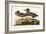 Pl 228 Green-winged Teal-John Audubon-Framed Art Print