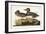 Pl 228 Green-winged Teal-John Audubon-Framed Art Print