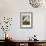 Pl 242 Snowy Heron-John James Audubon-Framed Art Print displayed on a wall