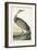 Pl 261 Hooping Crane-John Audubon-Framed Art Print