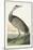 Pl 261 Hooping Crane-John Audubon-Mounted Art Print