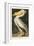 Pl 311 American White Pelican-John James Audubon-Framed Art Print