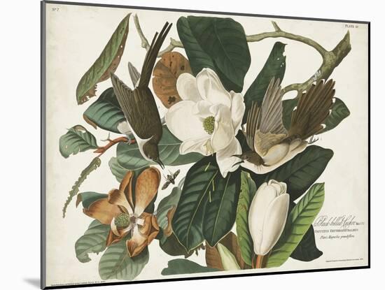 Pl 32 Black-billed Cuckoo-John Audubon-Mounted Art Print