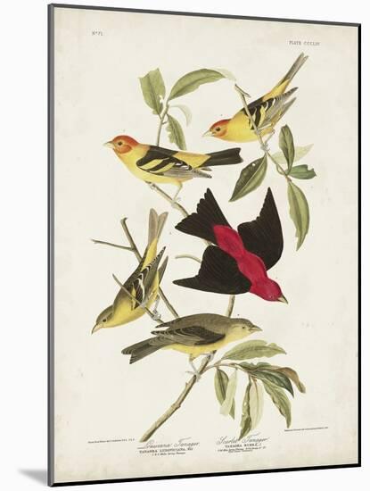 Pl 354 Louisiana Tanager-John Audubon-Mounted Art Print