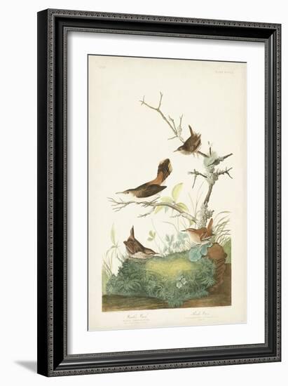 Pl. 360 Winter Wren-John Audubon-Framed Art Print