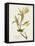 Pl 38 Kentucky Warbler-John Audubon-Framed Stretched Canvas