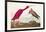 Pl 397 Scarlet Ibis-John James Audubon-Framed Art Print