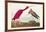 Pl 397 Scarlet Ibis-John James Audubon-Framed Art Print