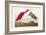 Pl 397 Scarlet Ibis-John James Audubon-Framed Art Print