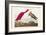 Pl 397 Scarlet Ibis-John James Audubon-Framed Art Print