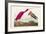 Pl 397 Scarlet Ibis-John James Audubon-Framed Art Print