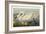 Pl 411 Common American Swan-John James Audubon-Framed Art Print