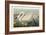 Pl 411 Common American Swan-John James Audubon-Framed Art Print