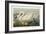 Pl 411 Common American Swan-John James Audubon-Framed Art Print