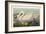 Pl 411 Common American Swan-John James Audubon-Framed Art Print