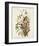 Pl 93 Seaside Finch-John James Audubon-Framed Art Print