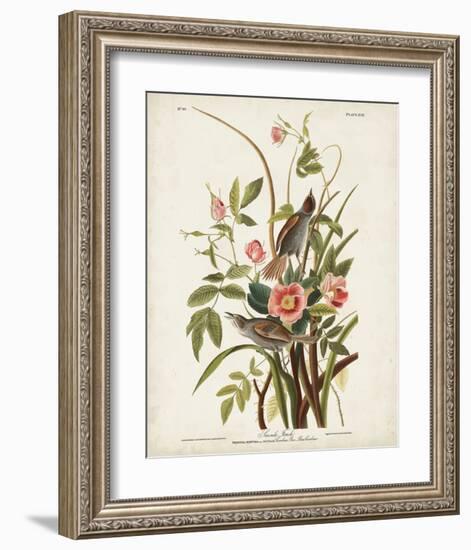 Pl 93 Seaside Finch-John James Audubon-Framed Art Print