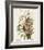 Pl 93 Seaside Finch-John James Audubon-Framed Art Print