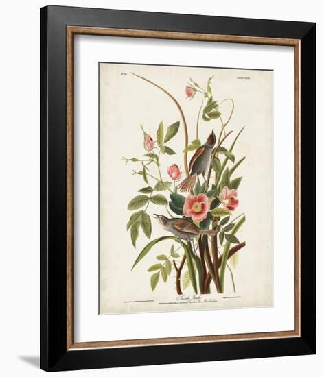 Pl 93 Seaside Finch-John James Audubon-Framed Art Print