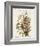 Pl 93 Seaside Finch-John James Audubon-Framed Art Print