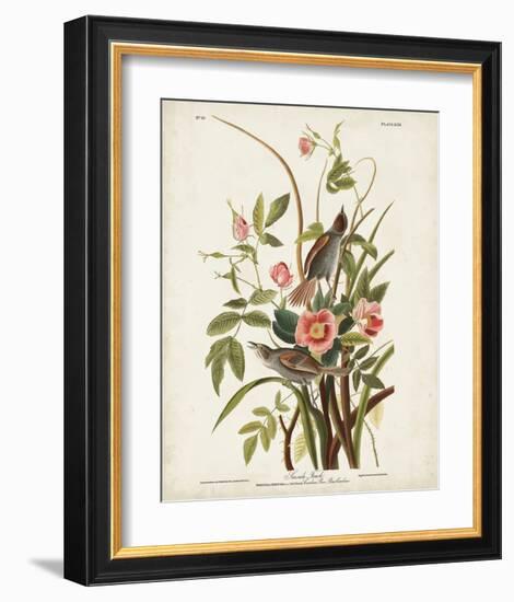 Pl 93 Seaside Finch-John James Audubon-Framed Art Print